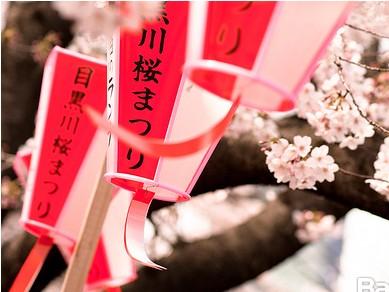 一幅圖告訴你日本留學(xué)的學(xué)習(xí)規(guī)劃